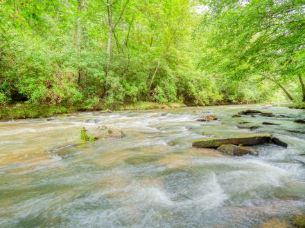 Featured image for “Creekside at Carver Mill Tract 2”