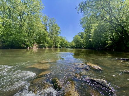 Featured image for “Locust Fork Alabama Riverfront Property”