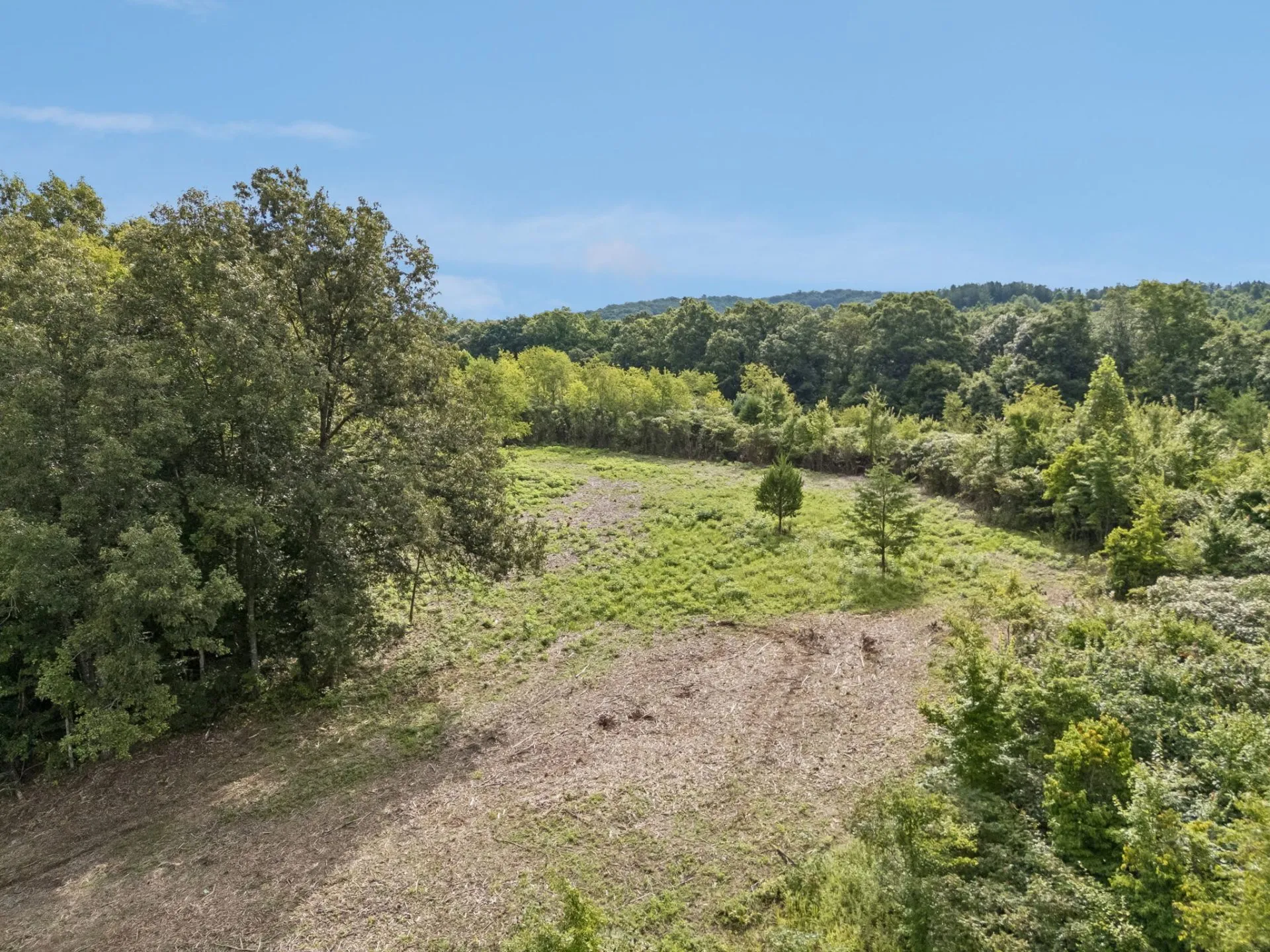 Featured image for “6.91 Acres for a Homestead, Horses & More”